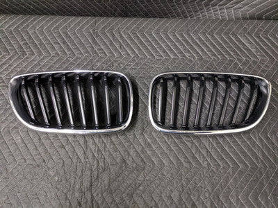 BMW F22/F23 2-Series Sport Kidney Grille Set LH 51137295523 RH 51137295524