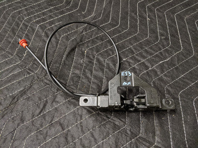 BMW E53 X5 Trunk Lid Lock Bottom Left 51248408963