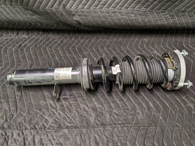 BMW G30 5-Series Front Left Driver Spring Strut Assembly 31316866609