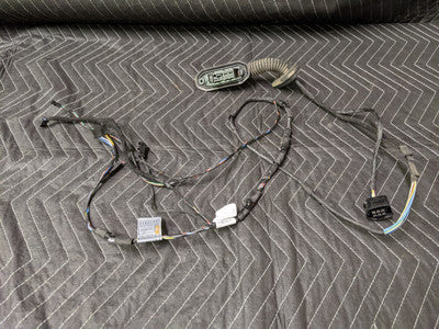 BMW E60 5-Series Rear Door Wiring Harness 9163149