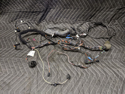 BMW G30 5-Series Front Left Door Wiring Harness 9370927